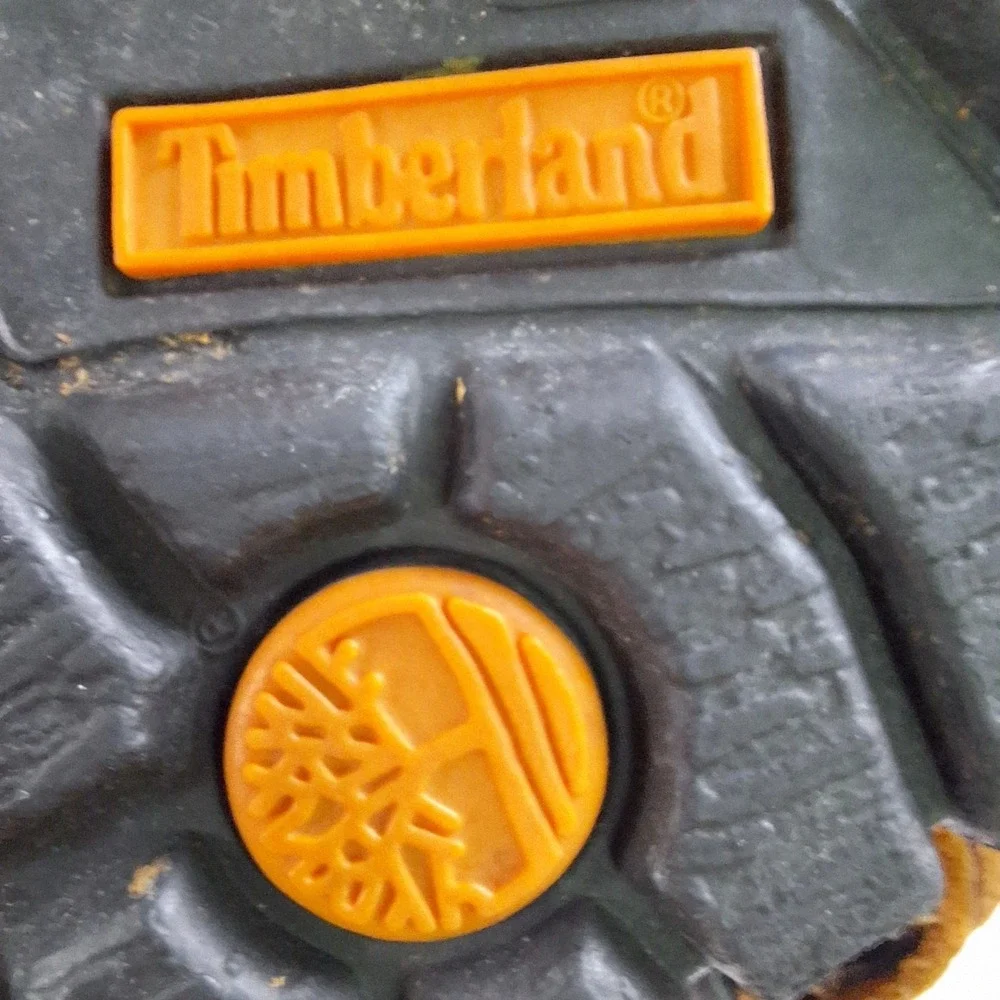 Timberland hiking trail